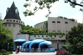 伢儿心心念的杭州海底世界要告别南山路？怎么搬家，搬去哪里，都是难题图片