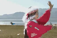 来这里，你也可以变“香妃”，亿只蝴蝶绕你飞图片