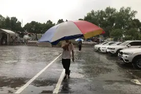 撑20斤大伞，暴雨中来回跑数十趟！只为了做这件事……图片