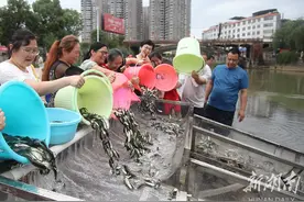 增殖放流图片