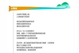 山海金｜上海老文青浙江山野诗意栖居，引来大波俊男靓女打卡图片