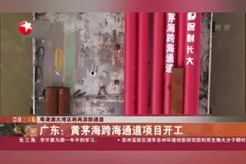 粤港澳大湾区将再添新通道：广东——黄茅海跨海通道项目开工视频封面