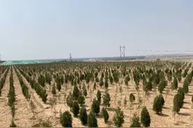 山东国舜新科：立足环保生产 助力绿色发展图片