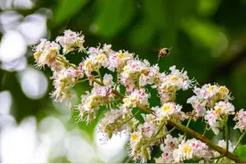 老外说"January and May"，千万不要理解成"一月和五月"图片