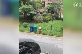 帅呆了！小男孩高难度扔垃圾 动作行云流水一气呵成图片