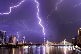 南方拍客看广东｜一周精选 雨后的惊喜图片