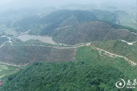 品新化杨梅 促消费扶贫——新化杨梅节来了图片