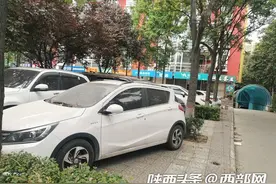 停绿化带、停快车道！记者探访西安街头私家车“花式”违停图片