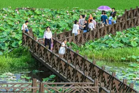 湖南道县：“莲荷经济”带火乡村游图片