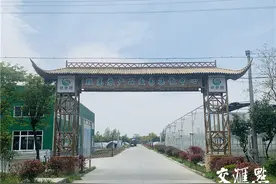百村调研行｜抱回“下蛋母鸡”，老区乡村4年“三级跳”图片