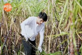 《向往的生活》热播 任嘉伦谭松韵许魏洲光临蘑菇屋图片