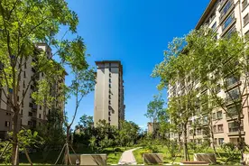 好消息！下周起，在杭州房子出现这些问题，可以申请这笔钱进行维修图片