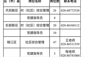 2000+岗位出炉！成都“一村一大”计划启动图片