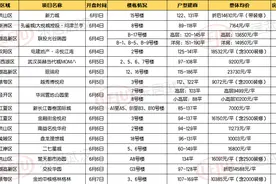 开盘快讯｜十六盘推售，洪山区两盘100%去化图片