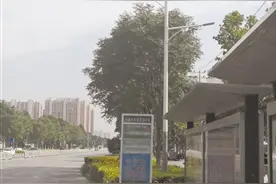 保定市乐凯大街300套路灯换新颜图片