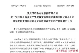 紫光国微收购Linxens遇挫 未获证监会通过图片