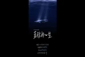 蓝鲸的一生：鲸落是什么图片