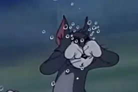 嘀嘀~“临潼—孟塬” 公交线路开通了！图片