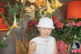 “杨丽萍没有生儿育女被呛”引热议，众女星发文力挺图片