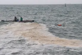 游客拍照时被巨浪卷入大海！危急时刻，游来一只“海豚”图片