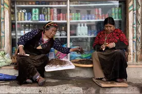 探访因冬虫夏草致富的小镇：新冠疫情下，虫草价格未增反降图片