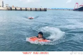 游客拍照不慎落入大海，被一只橙色“海豚”救起图片