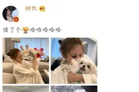 王思聪新欢晒素颜照 曾高调秀钻戒疑获男方送房图片