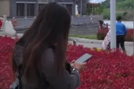 微信莫名其妙掉线，接二连三被扣款！怎么回事？图片