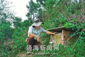 养蜂达人施永林：“小蜜蜂”带来“大收益”图片