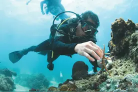 中国首个热带海洋牧场雏形初现图片