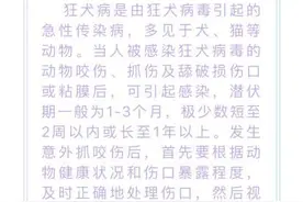 多地狂犬疫苗一针难求，卫生部门呼吁加强动物管理图片