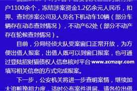 “招财猫”网贷涉非法吸收公众存款，杭州警方：加大追赃力度图片