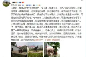 合肥一动物园大象瘦成皮包骨？园方回应：每天喂足饲料图片