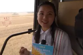 66秒丨记者坐上收割机 第一视角直击麦收现场图片