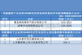 华能德州丁庄水库200MW光伏发电项目高压开关柜、主变压器采购中标候选人图片