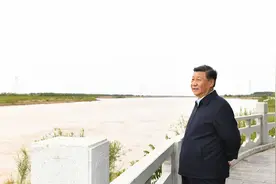 鉴往知来，跟着总书记学历史｜黄河脉动看今朝图片