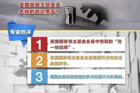 有理儿有面：美国民主基金会2020年乱港计划大曝光图片