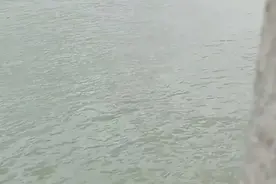救命！年轻女子微博写遗书绝望告别，曾厝垵海边纵身跳海……图片