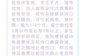 多地狂犬疫苗断货背后：五成企业有批号但未提供疫苗图片