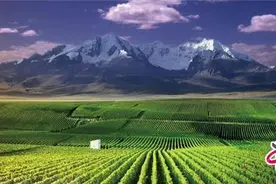 宁夏为什么被美誉为“中国旅游的微缩盆景”图片