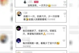相邻两家鸭子每天自动组队出门，主人故意少放3只，鸭子竟一直等图片