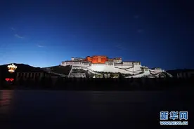 布达拉宫夜色图片