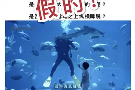 昆明融创海世界+雪世界门票2张免费送？假的图片