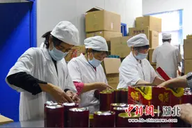 湖北恩施：千年茗茶焕新香图片