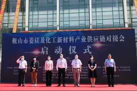 签约超1.5亿！菱镁及化工新材料产业供应链对接会落幕图片
