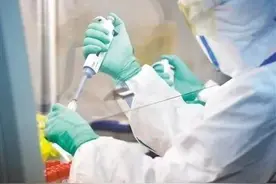 P3、P2实验室成标配，两者有何不同？怎么布局？解读来了图片