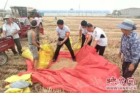 长葛市增福镇：志愿帮扶战“三夏”助农抢收田间忙图片
