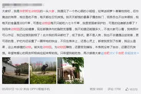 “合肥野生动物园大象饿到皮包骨”？看看动物园发来的视频图片