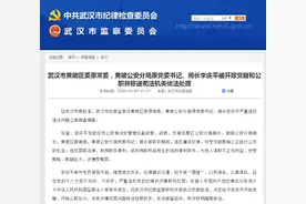 武汉黄陂区委原常委，黄陂公安分局原党委书记、局长李庆平被“双开”并移送司法图片