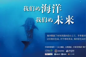 “我们的海洋，我们的未来”——三七互娱世界海洋日为地球环境发声图片